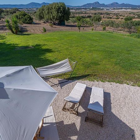 Villa Patrizia-Luxury House Όλμπια Εξωτερικό φωτογραφία