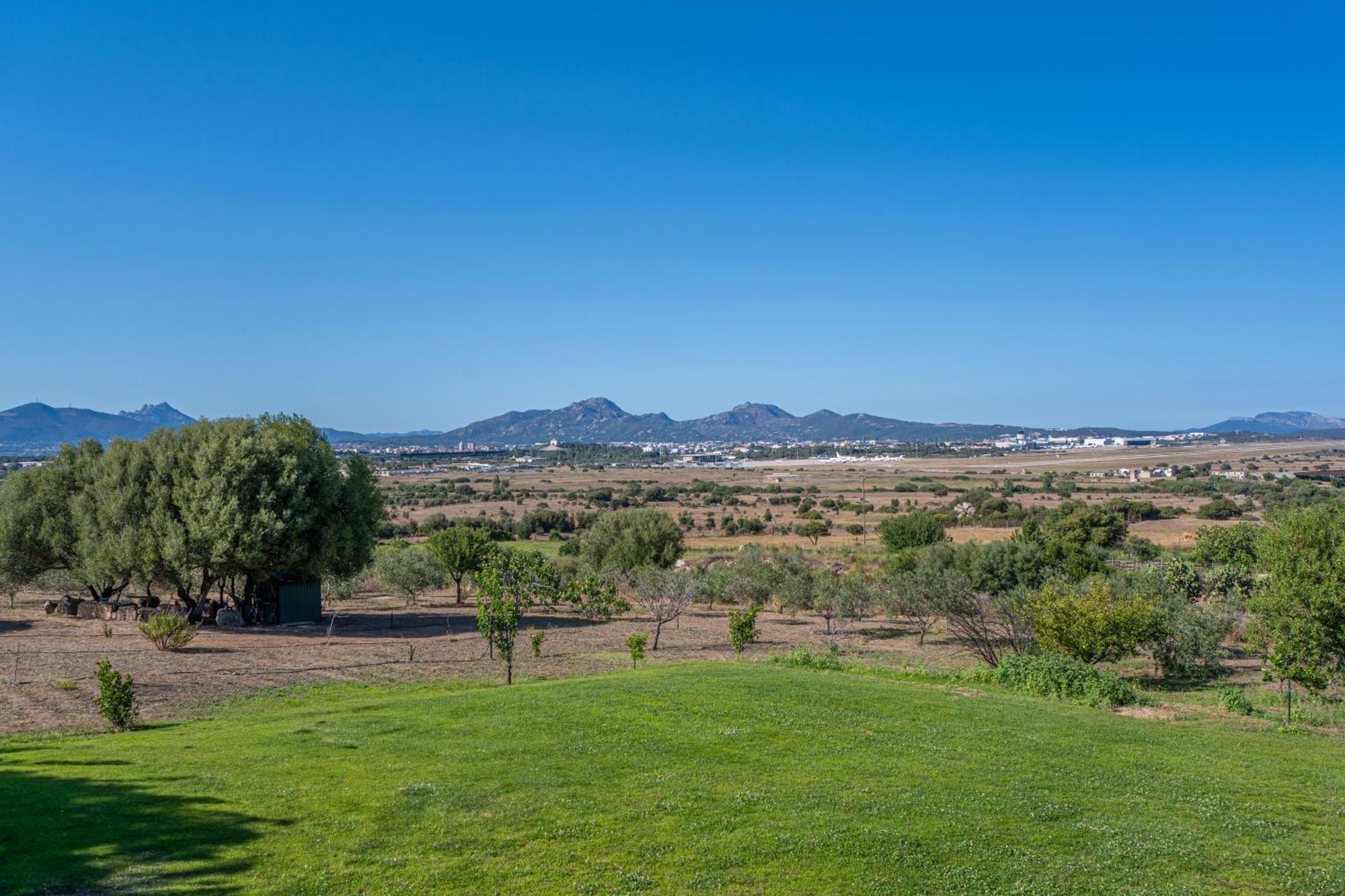 Villa Patrizia-Luxury House Όλμπια Εξωτερικό φωτογραφία